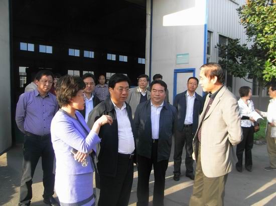 洛陽市委副書記、市長李柳身蒞臨公司調(diào)研機器人軸承項目